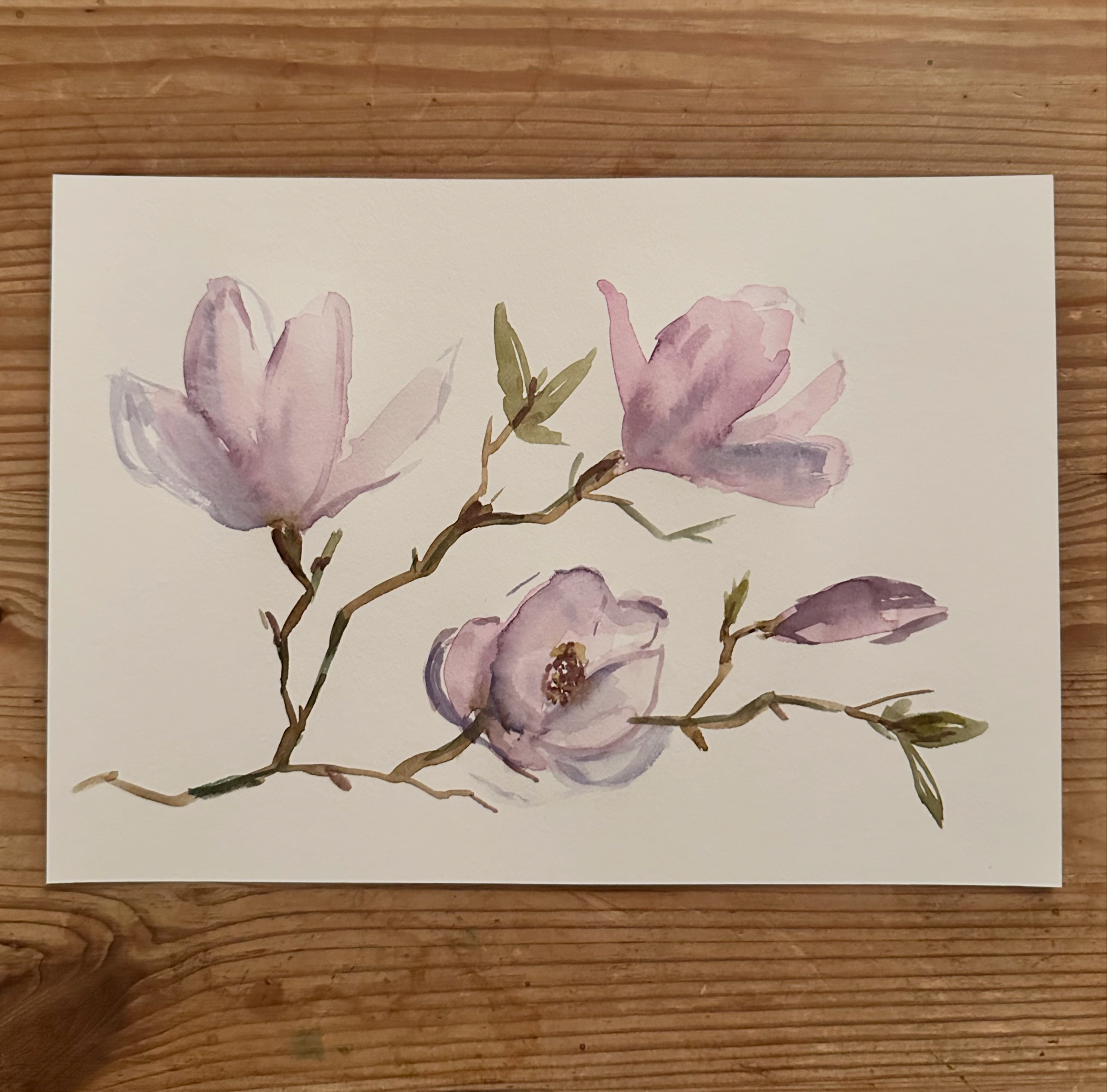 Magnolien,Aquarell auf Papier, A5